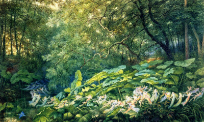 FAIRIES AUTUMNAL EVENING'S DREAM UNDER DOCK LEAVES  DRAWING RICHARD DOYLE REPRO