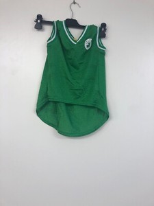 celtics dog jersey