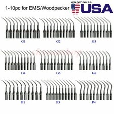 Dental Ultrasonic Scaler Scaling Perio Tip Fit EMS Woodpecker Stainless