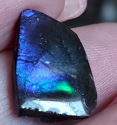 Ammolite  Ammonite Coated Stone 18.3x13.5x4mm #9575
