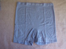 New Victoria  s Secret Logo Periwinkle High Waist Boyshort Panties