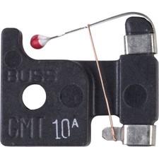 Fuse, Fast Acting, 10 A