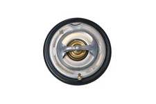 Thermostat Ssangyong REXTON