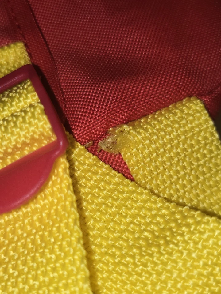 Mochila Arnés Disney Baby Winnie the Pooh Correas Ajustables y Cierre de Cremallera Foto 4 de 4