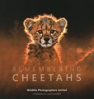 Remembering Cheetahs | Margot Raggett | Buch | Remembering Wildlife | Gebunden