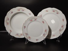 Antique Table Service 18 Plates Porcelain Seltmann Weiden Bavaria Anita