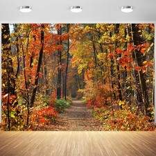 10x8ft Fall Backdrop Autumn Scenery Forest Mountain Road Photography Backgrou...