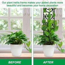 (Screenshot Of Order) Removable Pole Indoor Plant Support CT