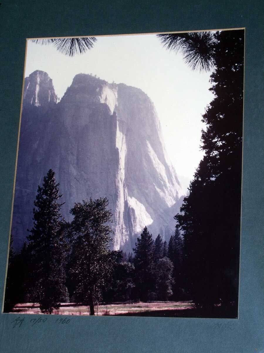 Picture 3 of 12