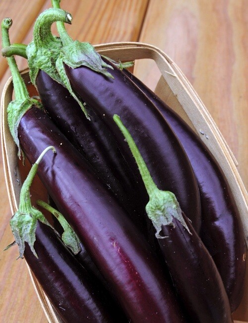 eggplantページ eggpl.jpg