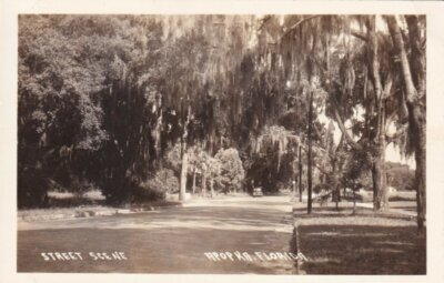 APOPKA Florida 1930-1940s Street Scene OLD PHOTO