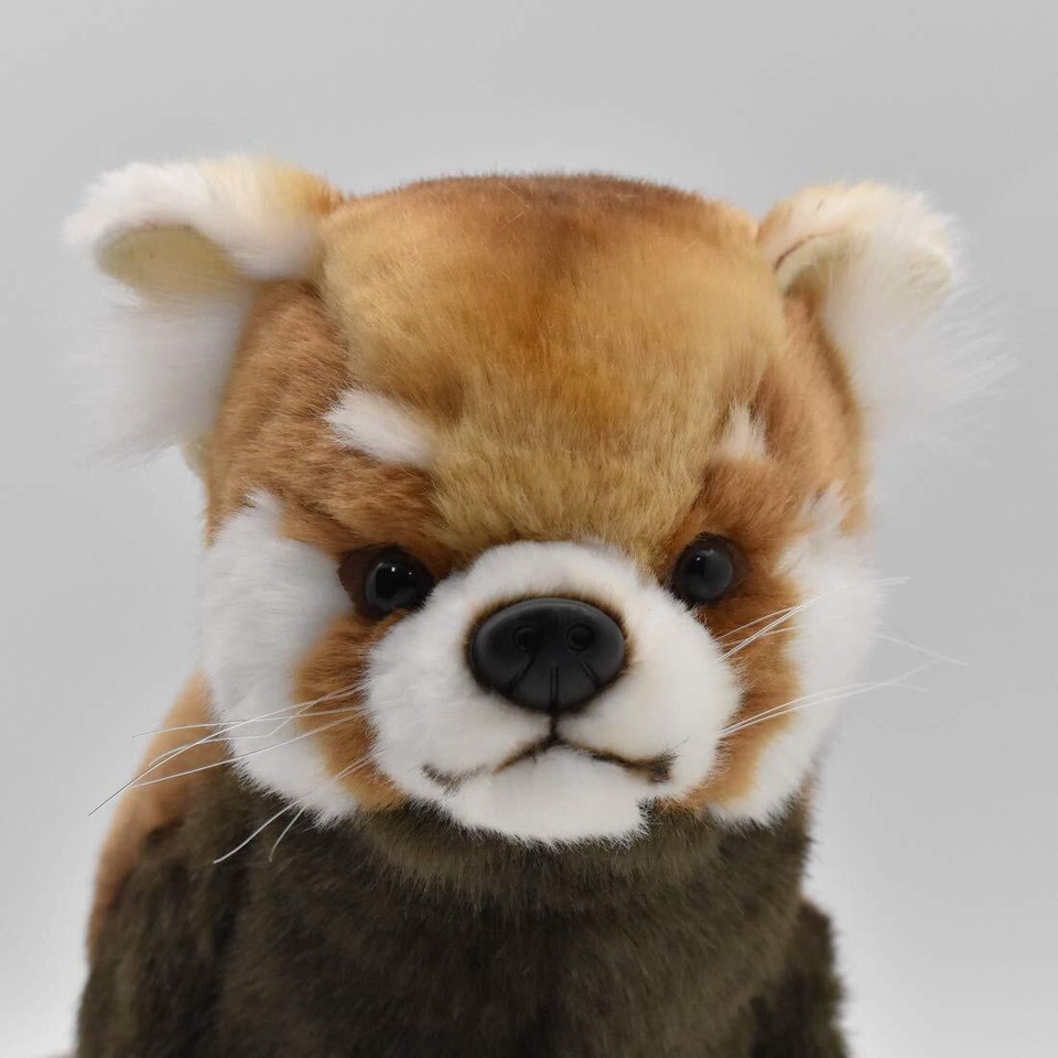 BH6301 HANSA Lesser Panda 61 Staffed Animal Plush ships from Japan NEW