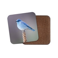 Beautiful Mountain Blue Bird Coaster - Bluebird Twitcher Nature Wild Gift #12618
