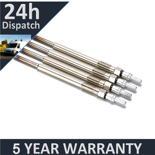 Resplandecientes Diesel Se Adaptan a Ford Focus (Mk2) 1.6 TDCI #2 - 5 AÑOS DE | eBay