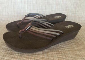 racoon slides