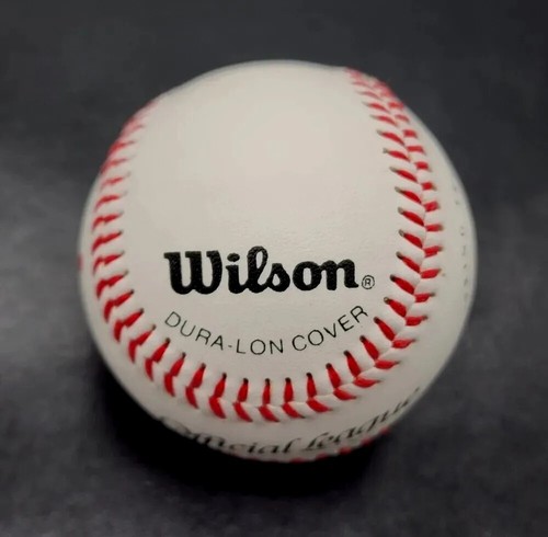 MICHAEL JORDAN AIR NIKE OFFICIAL LEAGUE BASEBALL SPRING TRAINING LIMITED EDITION - Bild 18 von 23