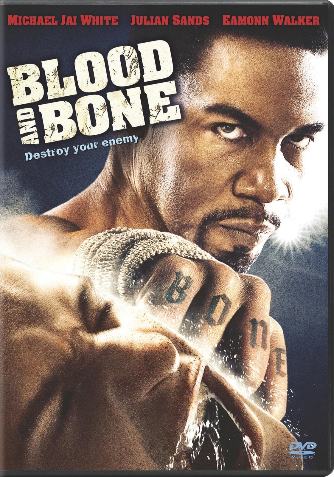 Blood and Bone (DVD) Michael White Julian Sands Eamonn Walker Dante Basco