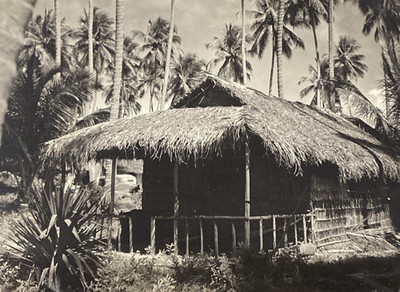 1950s? Brazilian Palm Leaf Jungle Home House Trees Brazil Original Photo P19p30