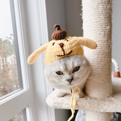 Pompompurin crochet hats for cats and small dogs/ knit cat hat | eBay