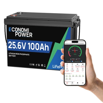 ECONOMIPOWER 24V 100Ah Bluetooth LiFePO4 Batterie 6000 Zyklen 100A BMS für Solar Wohnmobil RV