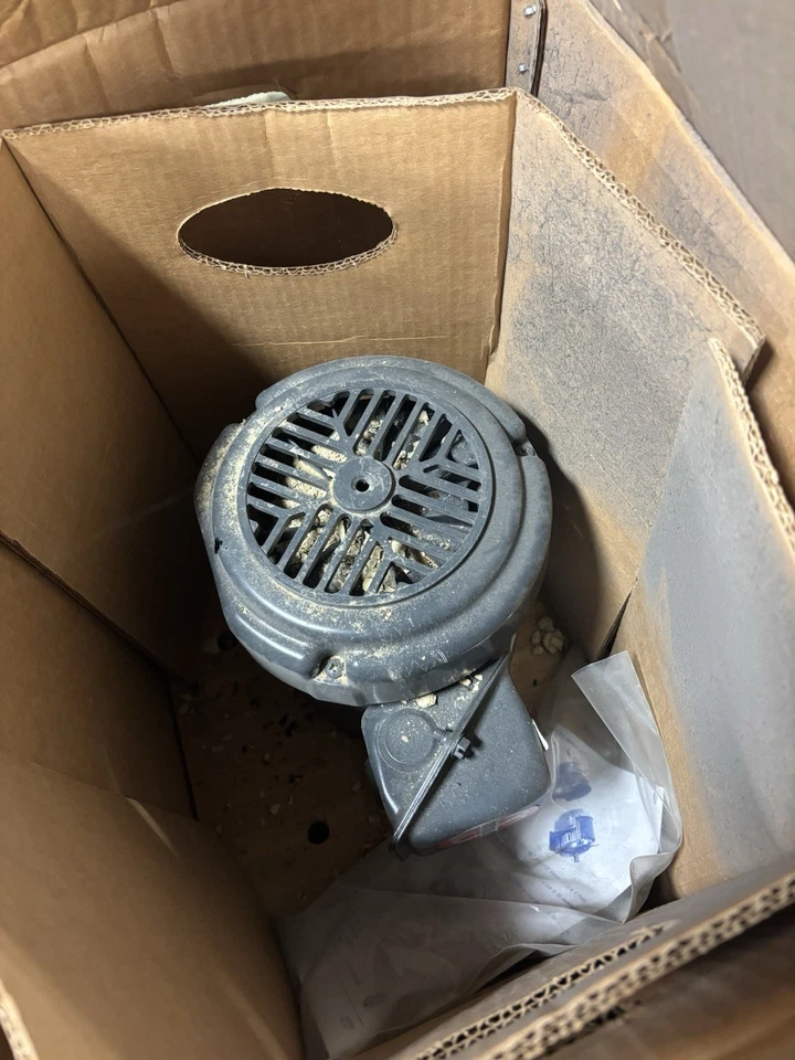 NEW US MOTORS U12S2ACR TYPE UTF MOTOR 1/2HP 56C 3PH 1745RPM - Image 3 of 3