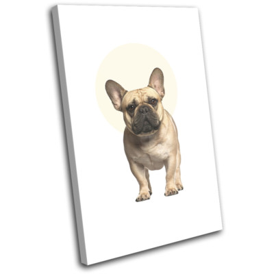 French Bulldog Modern Abstract Animals SINGLE CANVAS WALL
