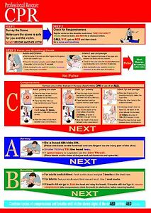 2015 Cpr Guidelines Chart