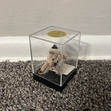 Artist Chu Ming Wu Little Gem Teddy Bear Bradlee 48/100 Dog Rare w/ Tag Case