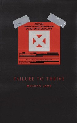 Failure to Thrive Meghan Lamb Taschenbuch Kartoniert / Broschiert Englisch 2021