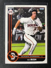 2025 Choice Delmarva Shorebirds Team Set (Orioles) You Pick Free Shipping!!!
