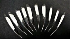 Magpie Wing Feathers - Eurasian - 5-7" - 10 Pcs. -  Natural Black-White