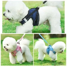 Arnés para perros pequeños
