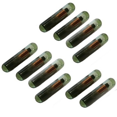10 Transponder Wegfahrsperre Chip ID48 passend für VW Audi Kia Honda Skoda Fiat