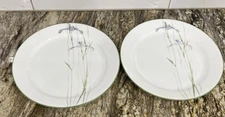 2 CORELLE Shadow Iris Vitrelle Dinner Plates Purple Flowers Green Rim 🇺🇸
