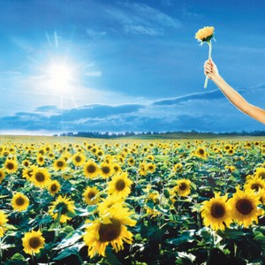 Thank You by Stone Temple Pilots (Record, 2023)