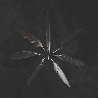 Caspian Dust and Disquiet (Vinyl) 12'' Album Coloured Vinyl (US IMPORT)