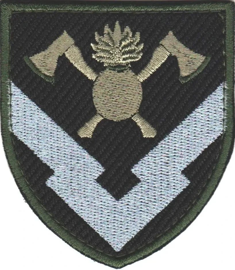 Patches of Various Ukrainian Army Units (Chevrons) 2014-2026