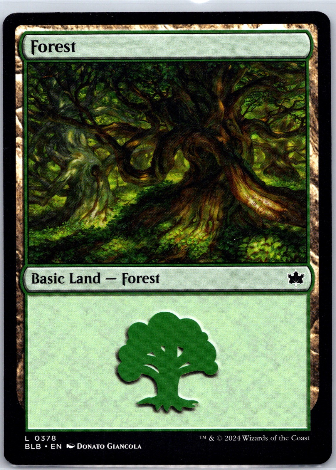 FOREST (0378) 378 LAND BLOOMBURROW MAGIC: THE GATHERING NEAR MINT