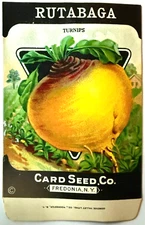 Vintage Seed Packet Rutabaga Turnips New Old Stock Card Seed Company A3