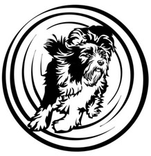 BEARDED COLLIE Aufkleber - Autoaufkleber - Kontur - sticker - AGILITY Tunnel #03
