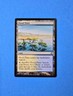 1x Flood Plain Duel Decks Venser vs Koth 2012 Mtg Magic Land Mana Card 34