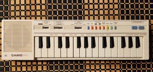 Casio Pt 1 Keyboard | eBay