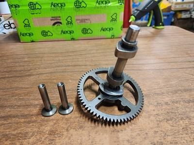 13hp Briggs & Stratton Engine 21A907 Engine Camshaft & Tappets 793880 84005207