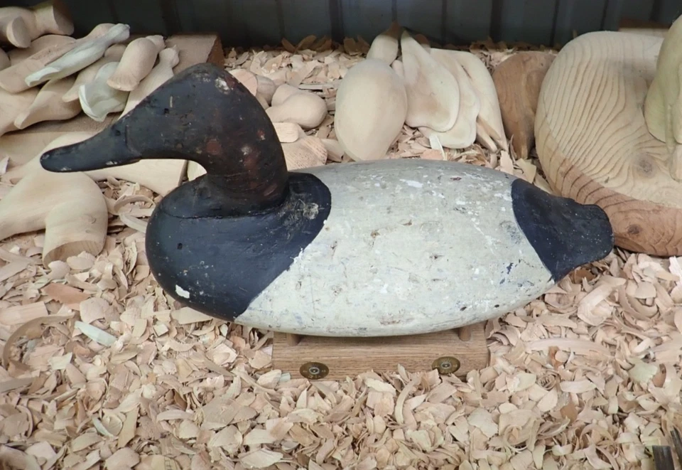 Will Heverin  (1860-1951) Canvasback Drake Decoy - Image 3 of 4