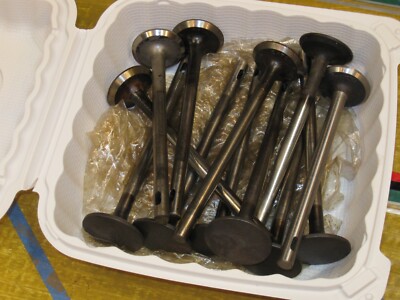 1937-40  Packard 6cyl Valve Set. (12)
