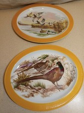 Pair Of Barratts Staffordshire Oval Plates Pheasants & Mallard Ducks