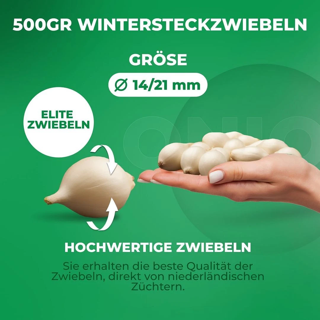 Bild 7 von 9