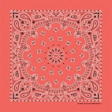 Honeysuckle Paisley 22x22 Bandanna