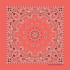 Honeysuckle Paisley 22x22 Bandanna