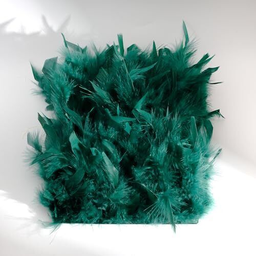 Green Turkey Feather Trim Fringe for DIY Dress Skirt Crafts,Feathers Trim by - 第 1/7 張圖片